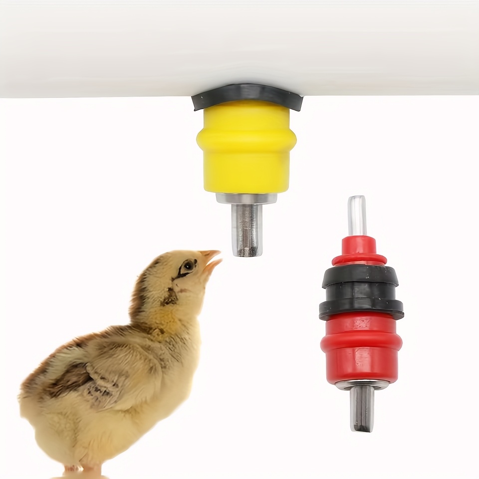 Chicken Nipple Drinker - Quail Pigeon Bird Waterer Chicken Waterer