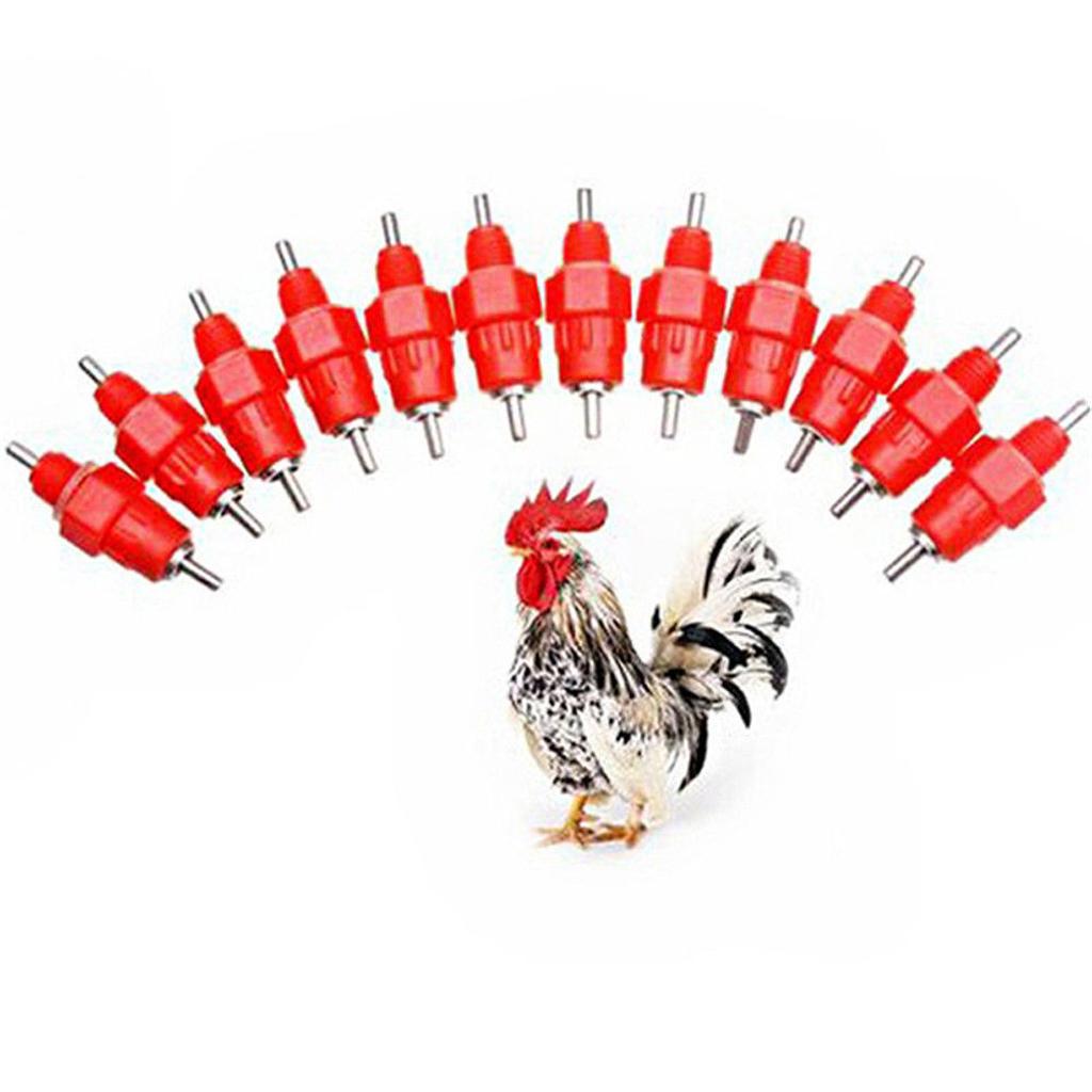 Chicken Nipple Drinker - Poultry Water Feeder 360 Degree Stainless