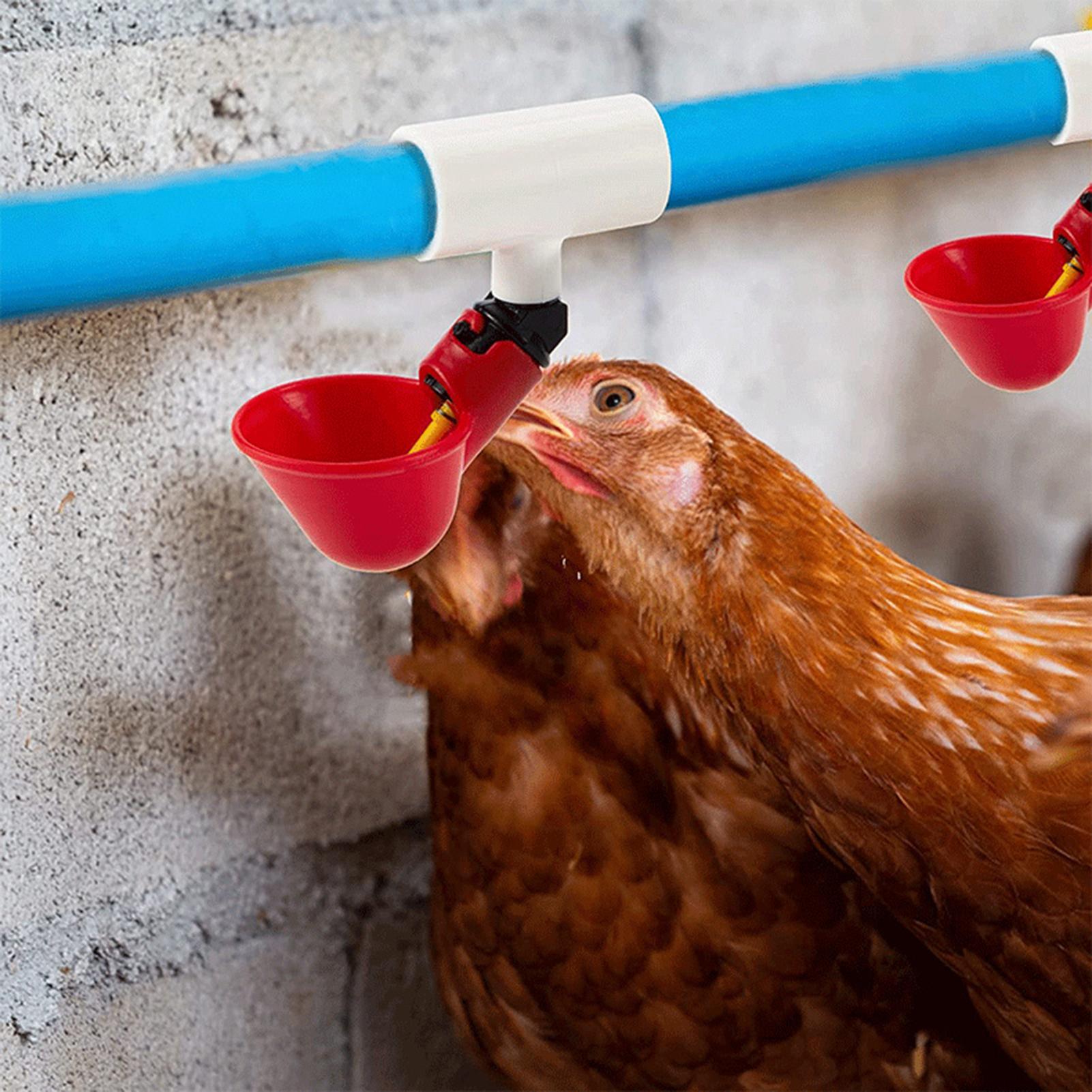 Chicken Drinker PVC Tee Fittin - Chicken Nipple Drinker 评论和价格
