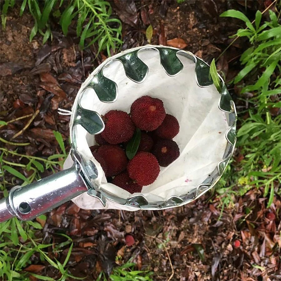 Tree Fruit Picker Practical Ga - Agriculture Farming Practices 评论和价格