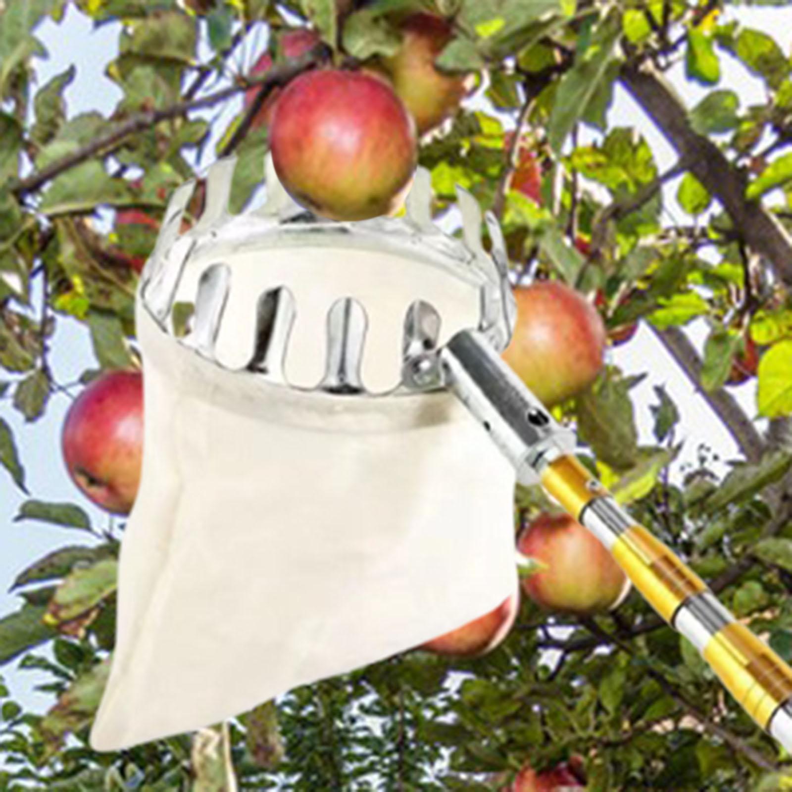 Stainless Steel Fruit Picker A - Agriculture Farming Practices 评论和价格