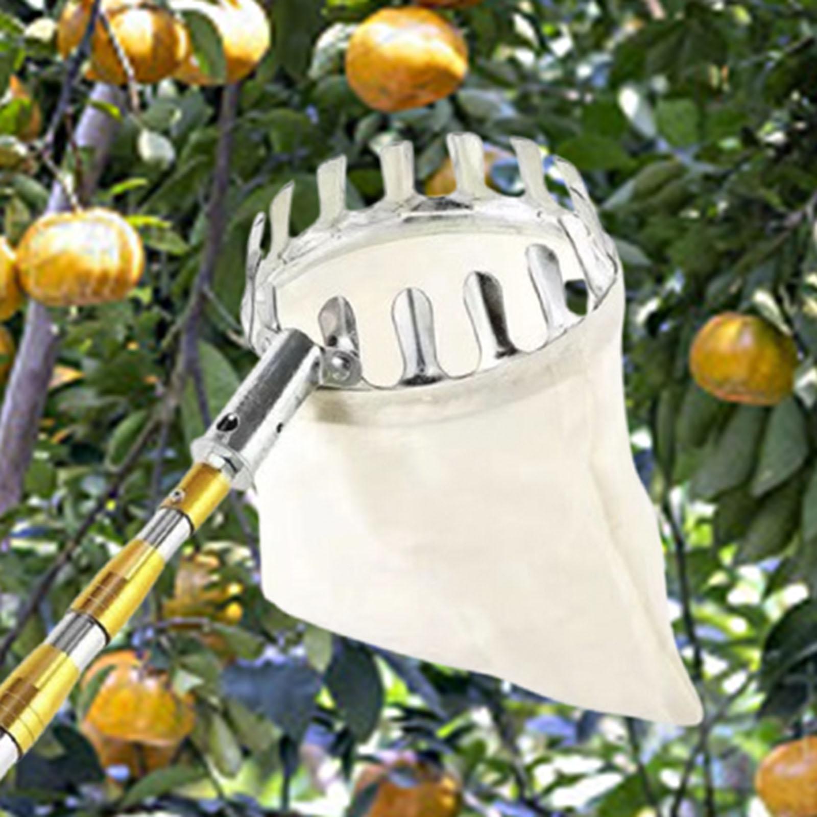 Stainless Steel Fruit Picker A - Agriculture Farming Practices 评论和价格