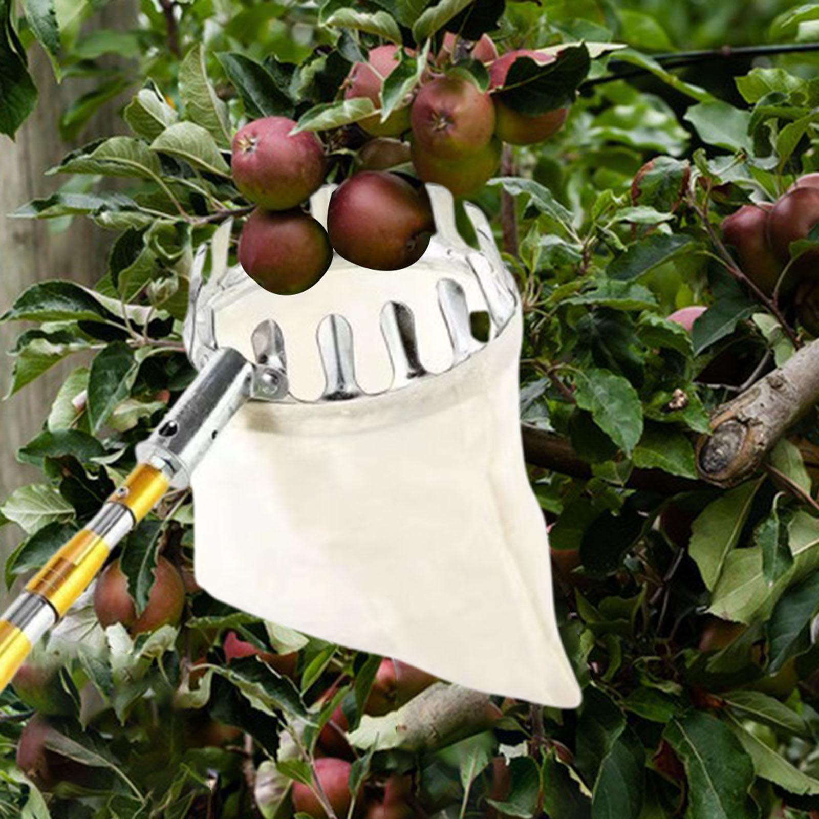 Stainless Steel Fruit Picker A - Agriculture Farming Practices 评论和价格