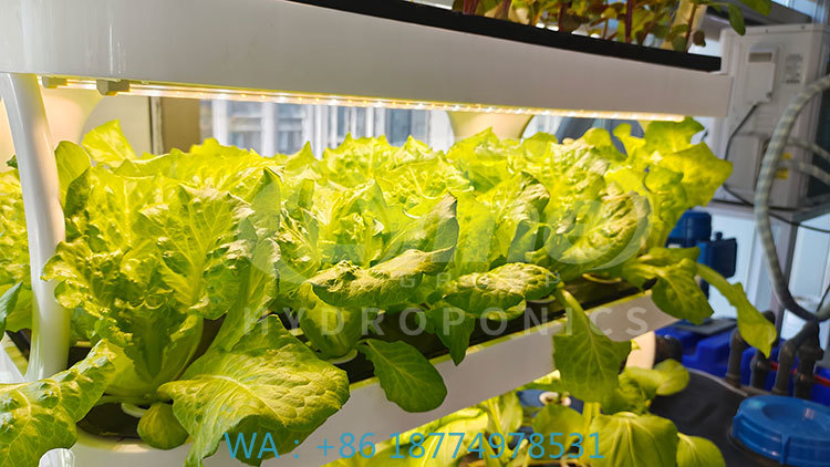 c Agriculture Machine to Growi - Farming Agriculture Equipment 评论和价格